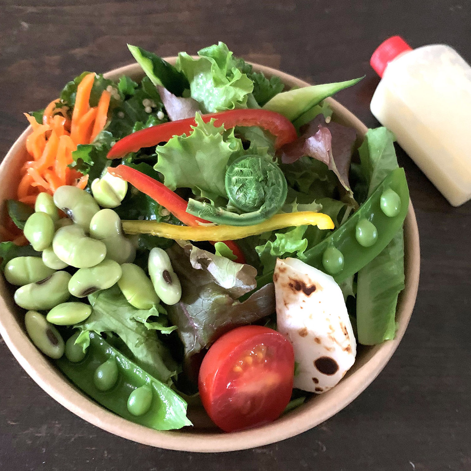 umino-foods2